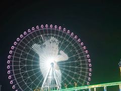 -花博汇(知音花月夜)