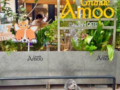 -Grande A'moo(上海万象城店)