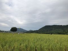 -艾米稻香小镇
