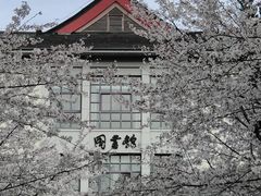 -南京林业大学-图书馆