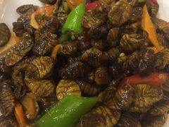 -食鸡公社辣子鸡·潍坊菜·烧烤