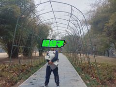 -东湖落雁景区
