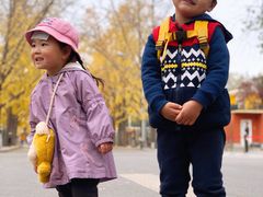 -三里屯东五街银杏大道