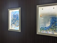 -贝壳王国博物馆