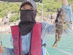 -小猫钓鱼海钓俱乐部(椰梦长廊店)