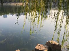 -后襄河公园
