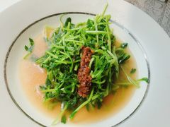-穹六人间 people 6(岳阳路店)