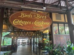 -卷心菜和避孕套餐厅(Pattaya)