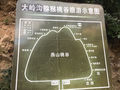 -大岭沟猕猴桃谷风景区