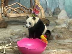 -海南热带野生动植物园