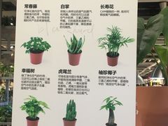 菜单-宜家·瑞典风味餐厅(无锡店)