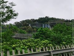 -福道