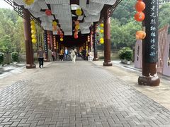 -重庆彩云湖湿地公园