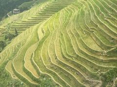 -龙脊梯田
