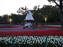 -大宁公园