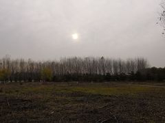 -东郊湿地公园