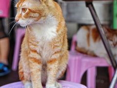 -非遗·爱西干面(小公园总店)