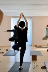 -酉嘉瑜伽YO+YOGA