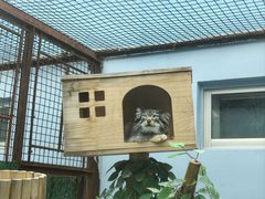 -青藏高原野生动物园