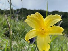 -白草畔自然风景区