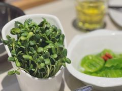 -浩爷羊蝎子火锅(望京店)