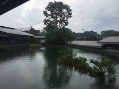 -河川生态园