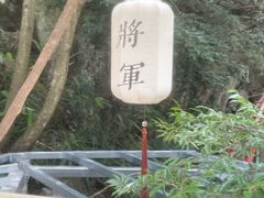 -将军关探险漂流