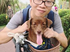 -白鹭湾湿地公园