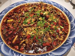 -新概念来凤鱼(璧山店)