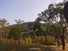 -云溪植物园