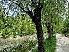 -元大都城垣遗址公园