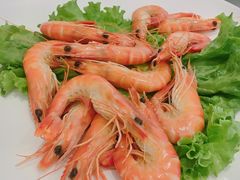 -骏莱海鲜鱼港(五角场店)