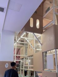 -超级奈尔宝SUPER NEOBIO(杭州星光店)