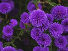 -圆明园遗址公园-藻园门售票处