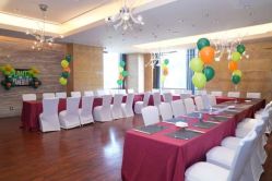 -派对猴生日派对策划