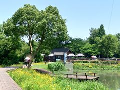 -西溪国家湿地公园