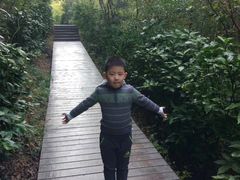 -上海佘山国家森林公园西佘山园