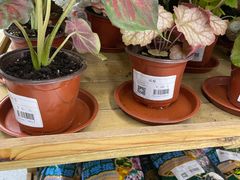 -世纪联华超市(浦电路店)