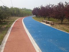 -张家湾公园