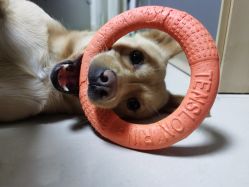 -简影造型·自选烫染接发salon