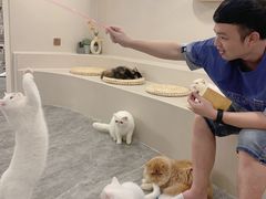 -More Fun猫咖 二十只万元加菲主题