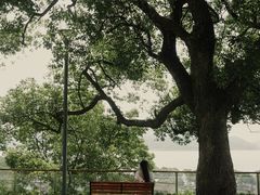 -东钱湖旅游度假区