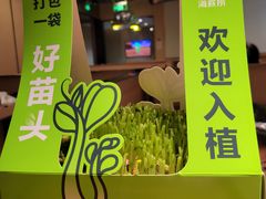 -海底捞火锅(方塔东街店)