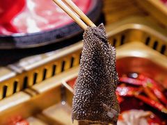 -九鼎轩脆毛肚火锅(三钢里店)