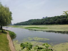 -月湖风景区