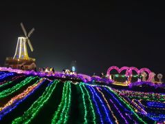 -大塘金香草谷