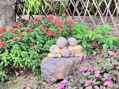 -中国科学院西双版纳热带植物园