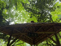 -青城山