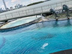 -苏州金鸡湖中茵皇冠假日酒店