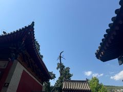 -玉泉观